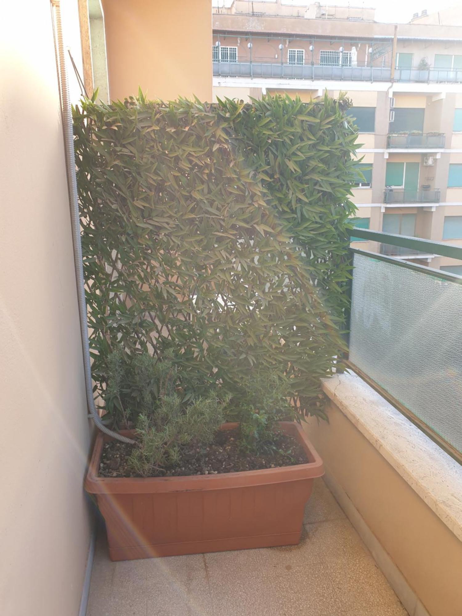 Max Guest house